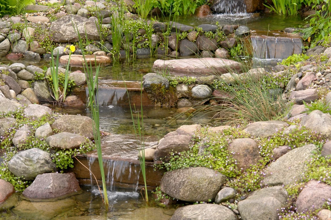 Gartenbach mit kleinen Wasserfällen
